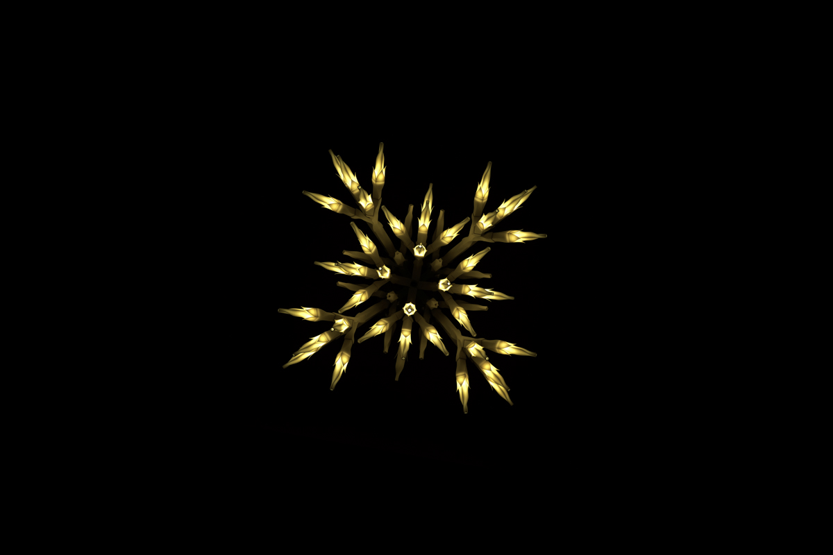 02/09/2016 어둠을 밝히다. Enlighten the darkness