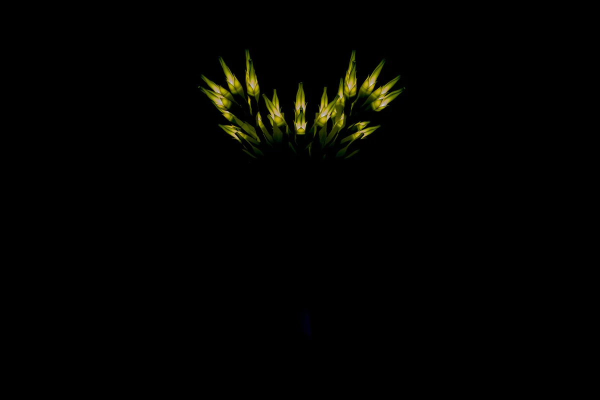 05/18/2015 작은 희망이 어둠을 밝히다. A little hope lights up the darkness. 