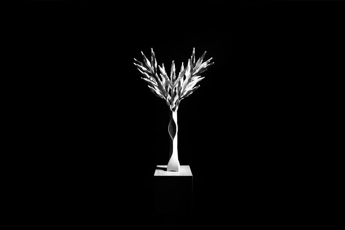 04/01/2016 빛과 어둠의 나무. Tree of light and darkness.