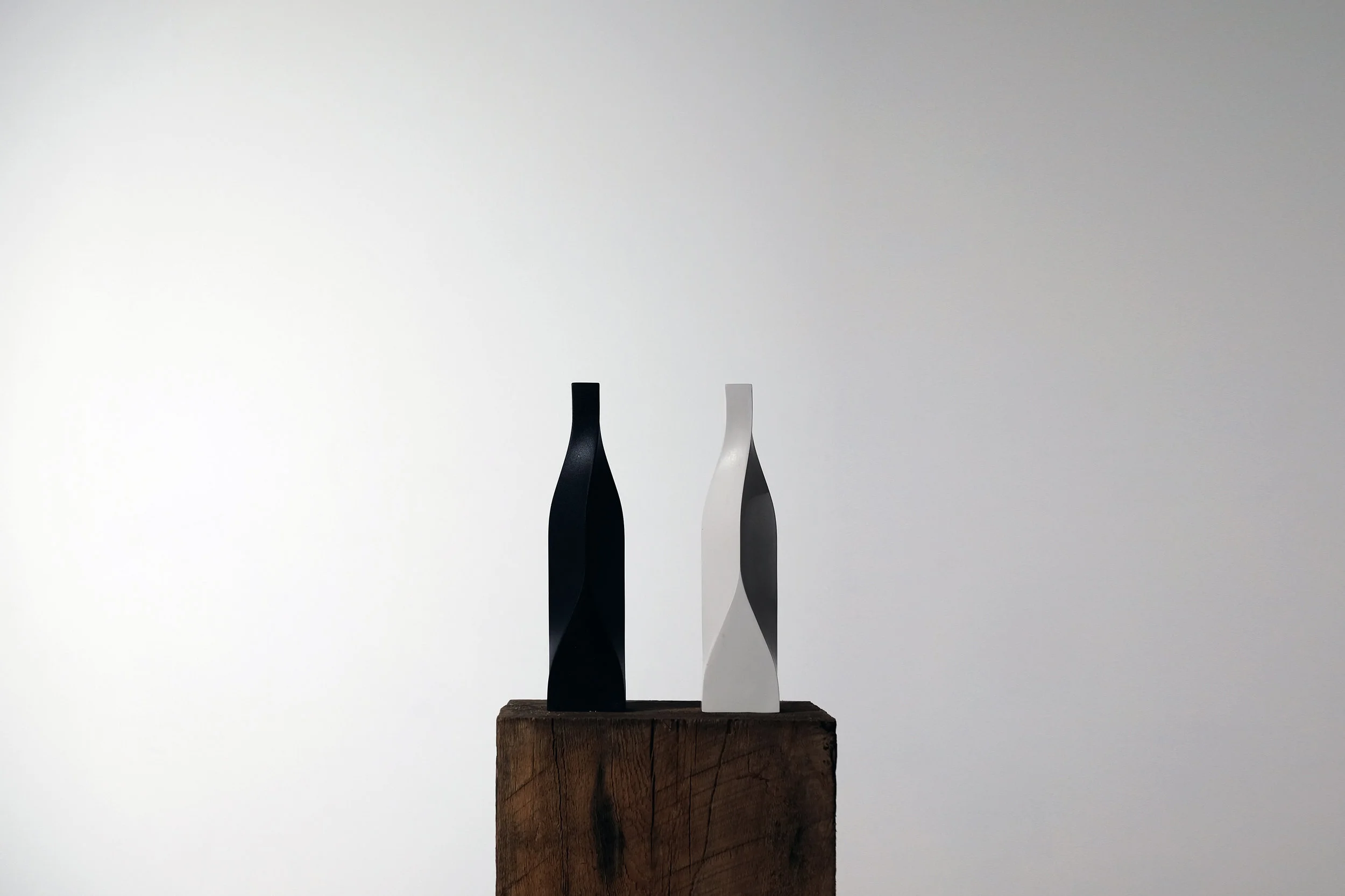 LIGHT HAS DARKNESS.jpg