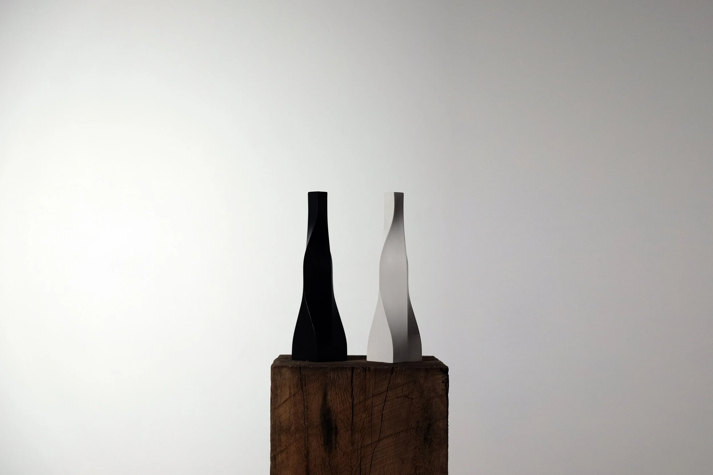 LIGHT HAS DARKNESS 2.jpg