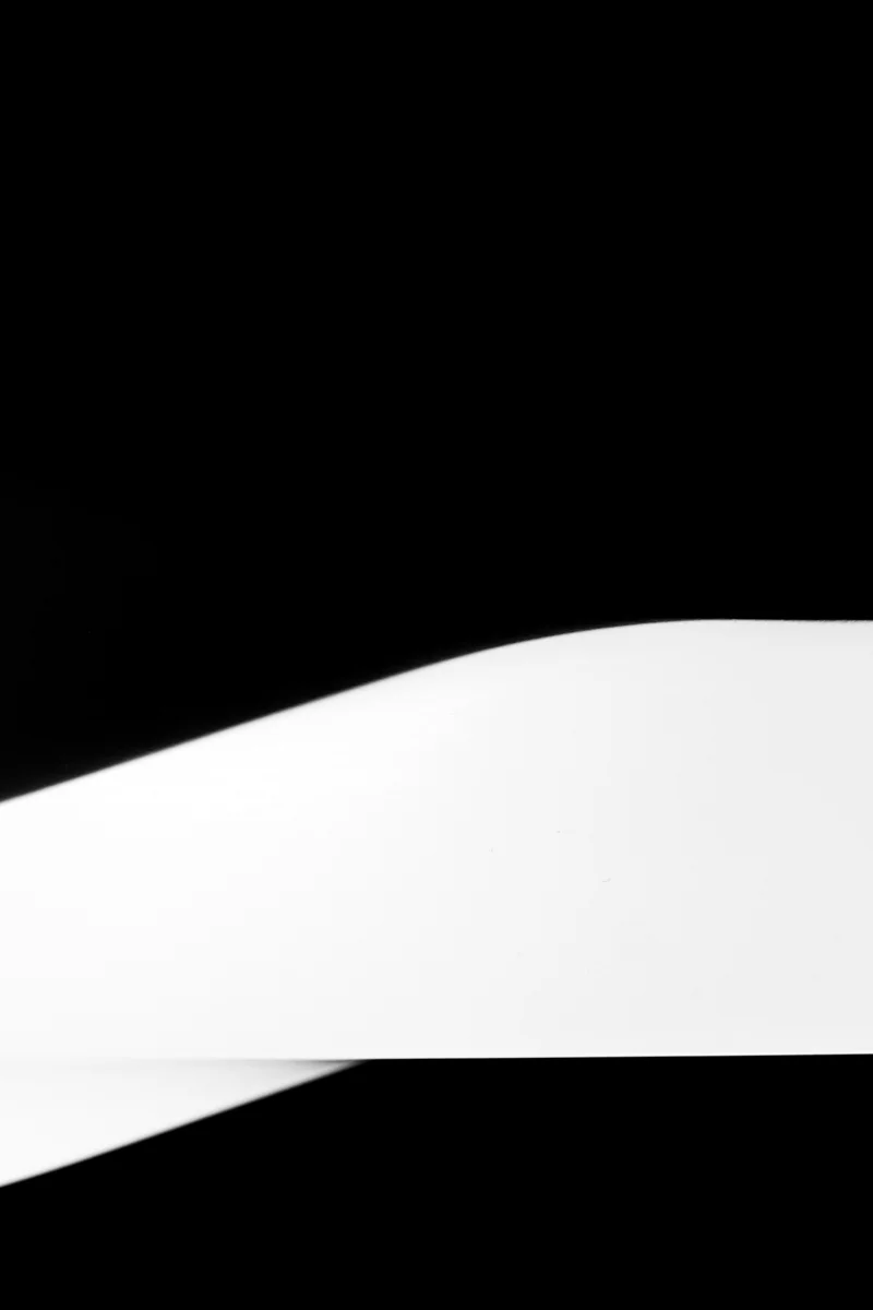 UNTITLED: BIRTH AND DEATH 02, NEW YORK, 2019