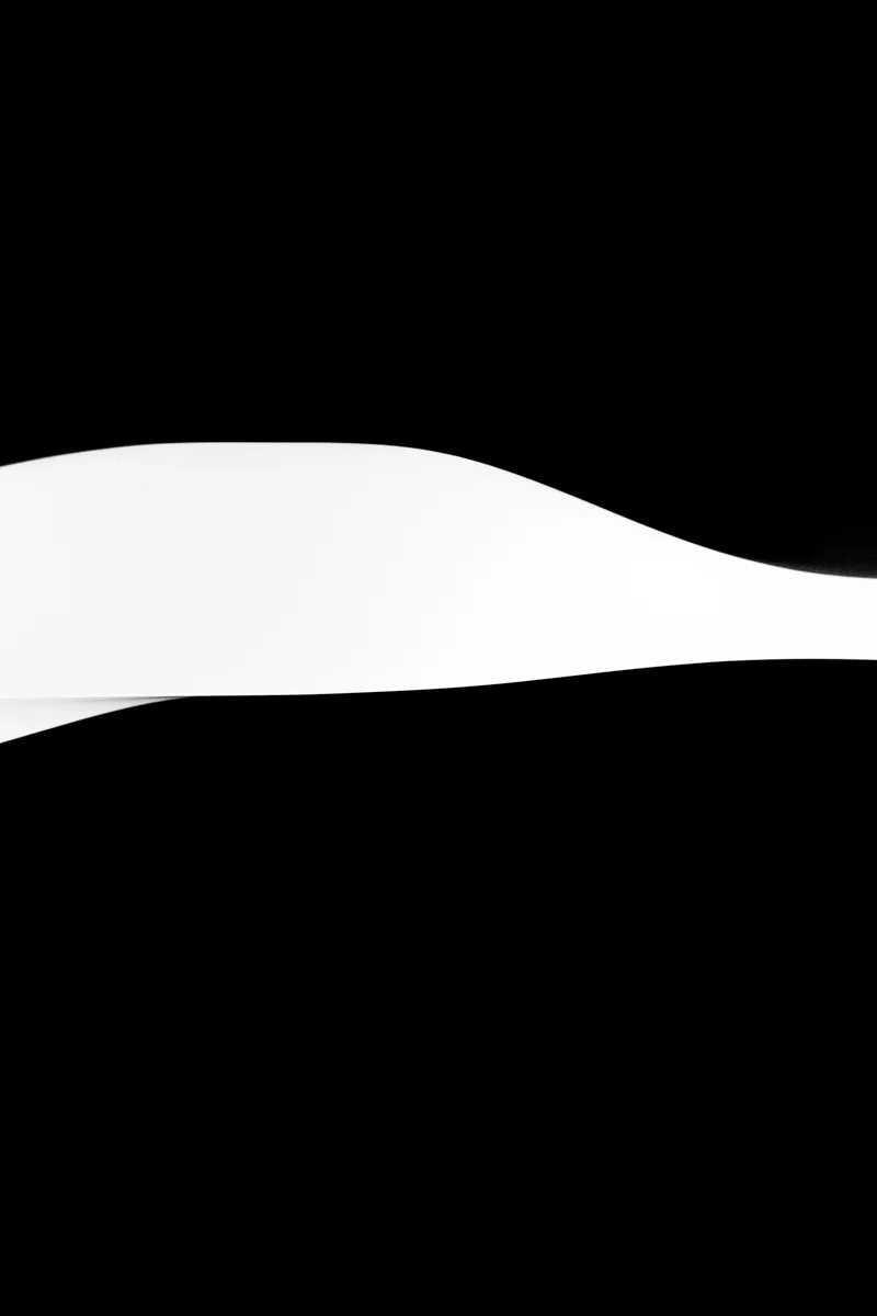 UNTITLED: BIRTH AND DEATH 03, NEW YORK, 2019