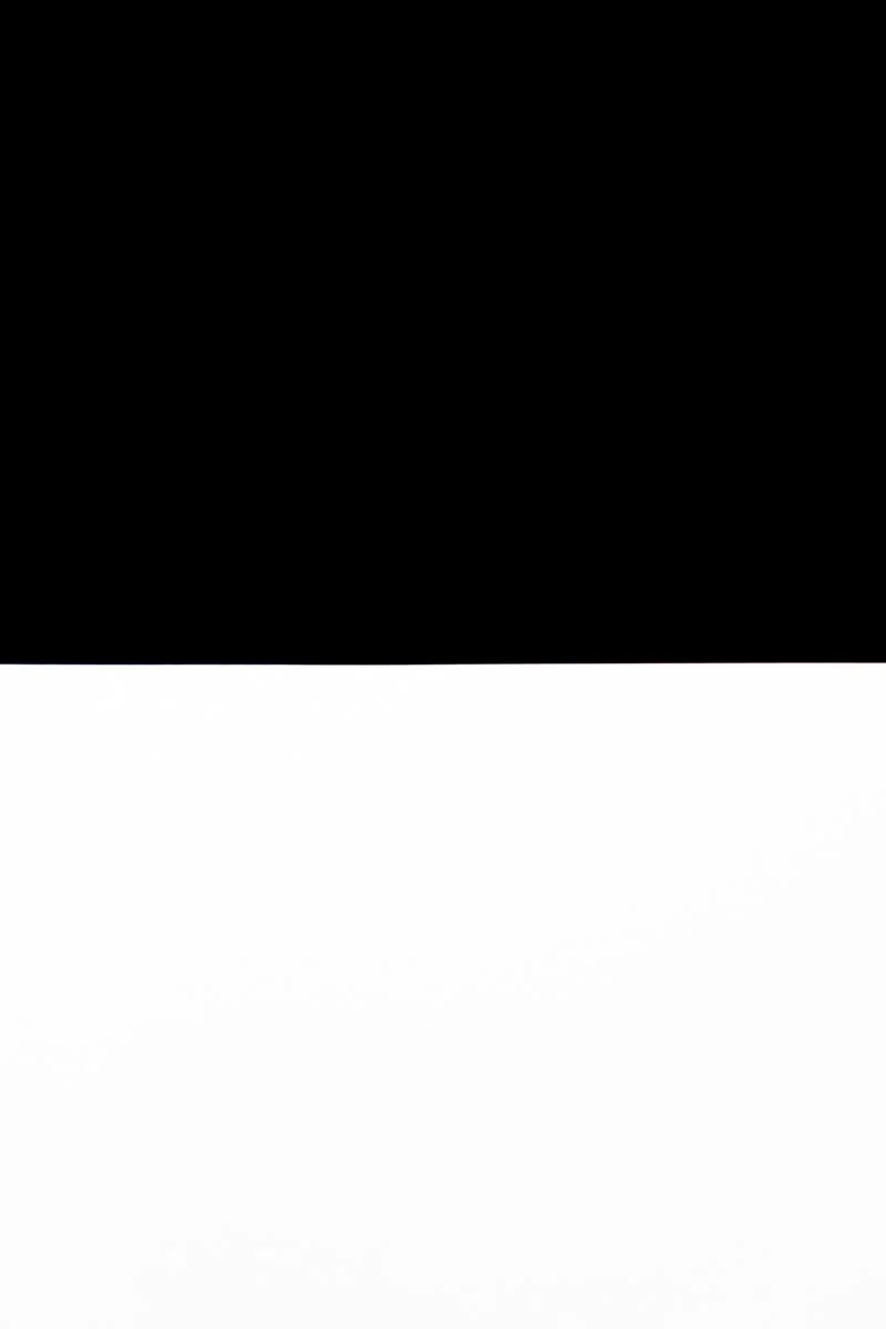 UNTITLED: BIRTH AND DEATH 10, NEW YORK, 2019