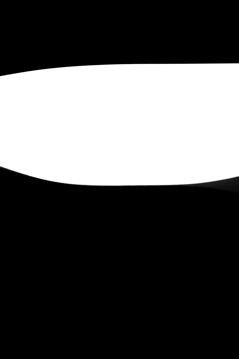 UNTITLED: BIRTH AND DEATH 12, NEW YORK, 2019