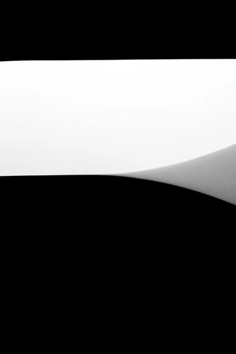 UNTITLED: BIRTH AND DEATH 13, NEW YORK, 2019