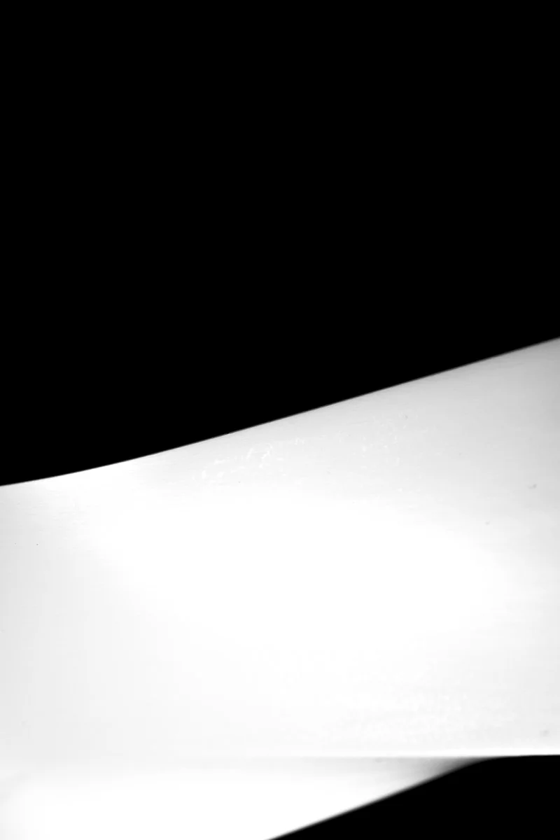 UNTITLED: BIRTH AND DEATH 14, NEW YORK, 2019