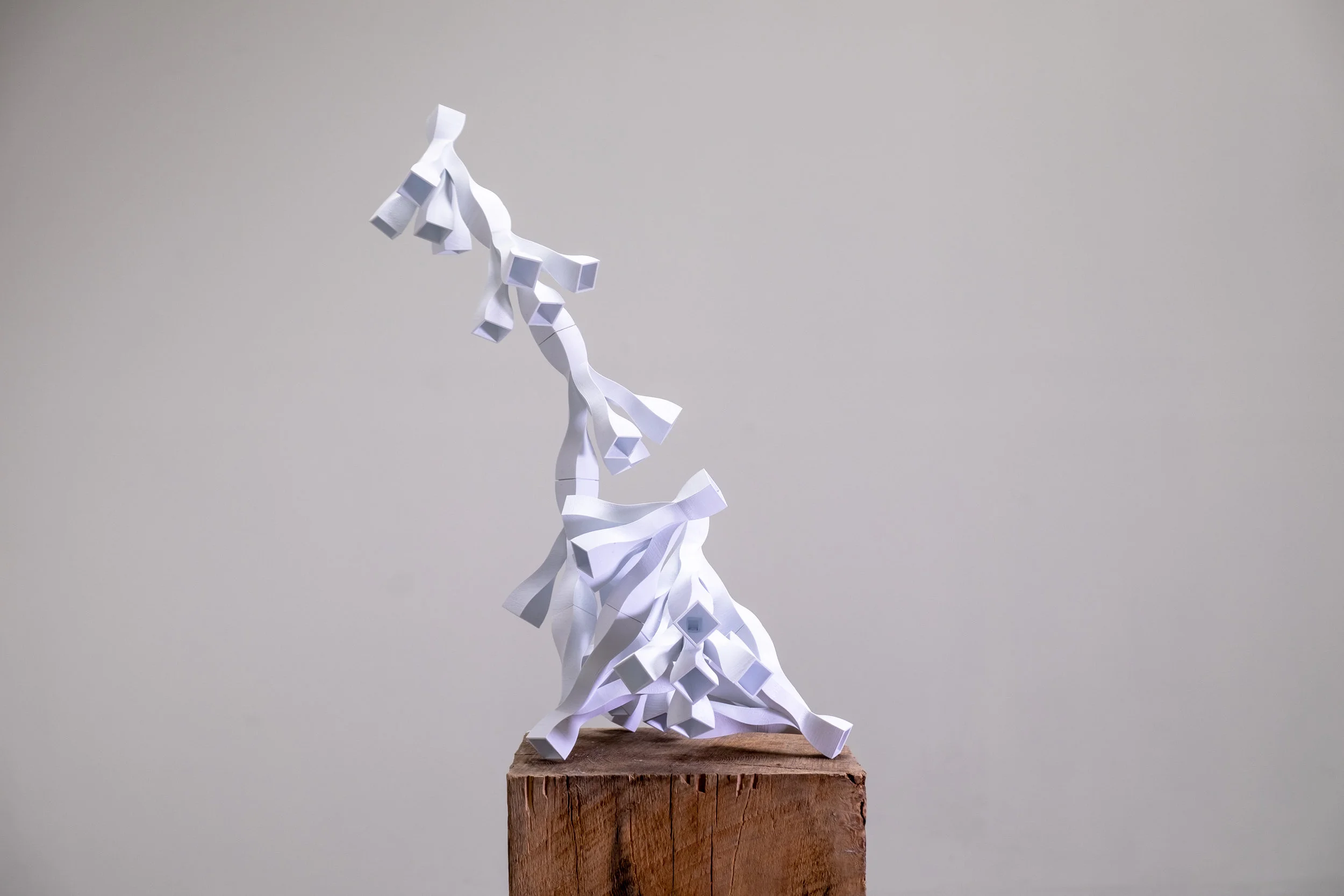 untitled (10 of 34).jpg