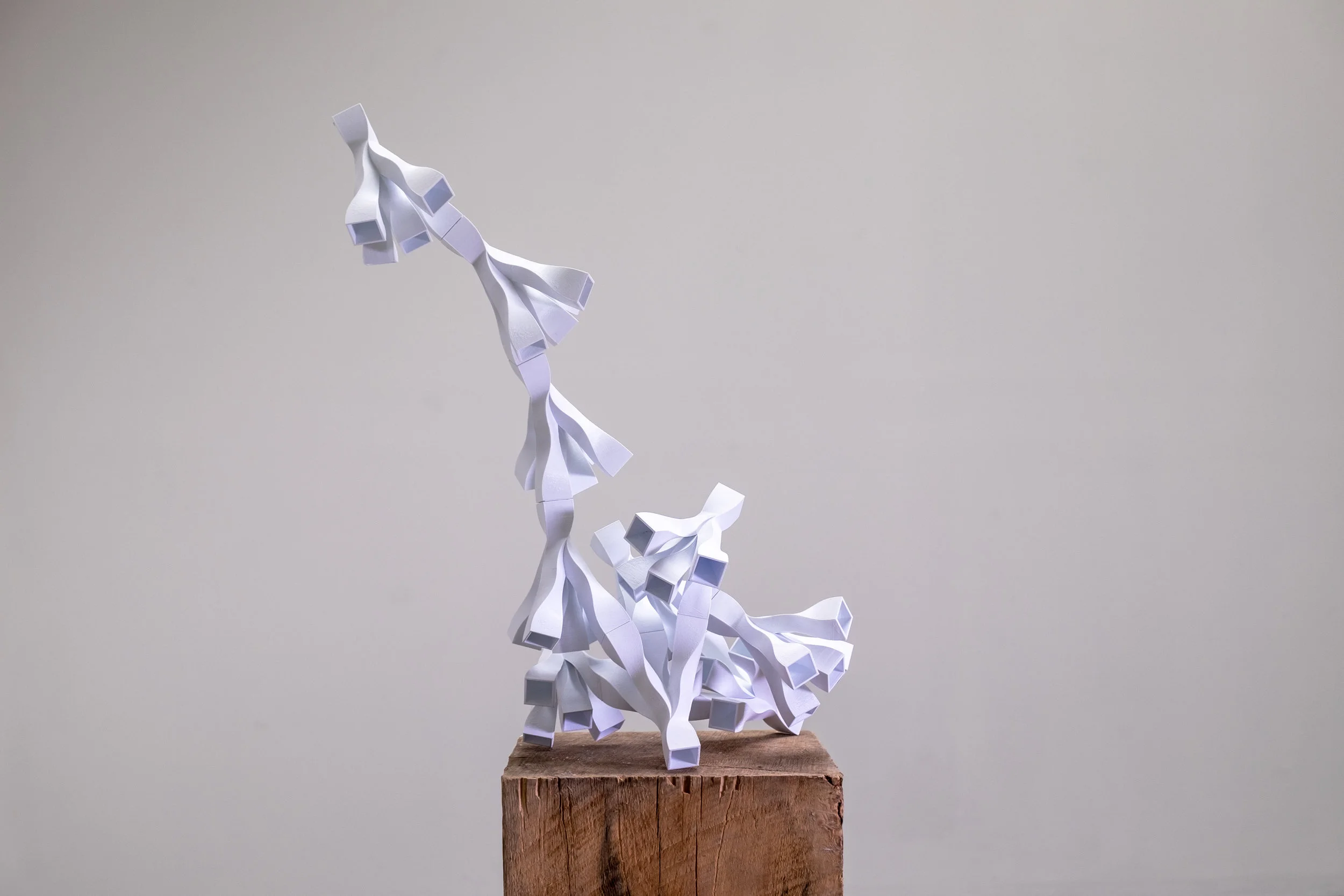 untitled (11 of 34).jpg