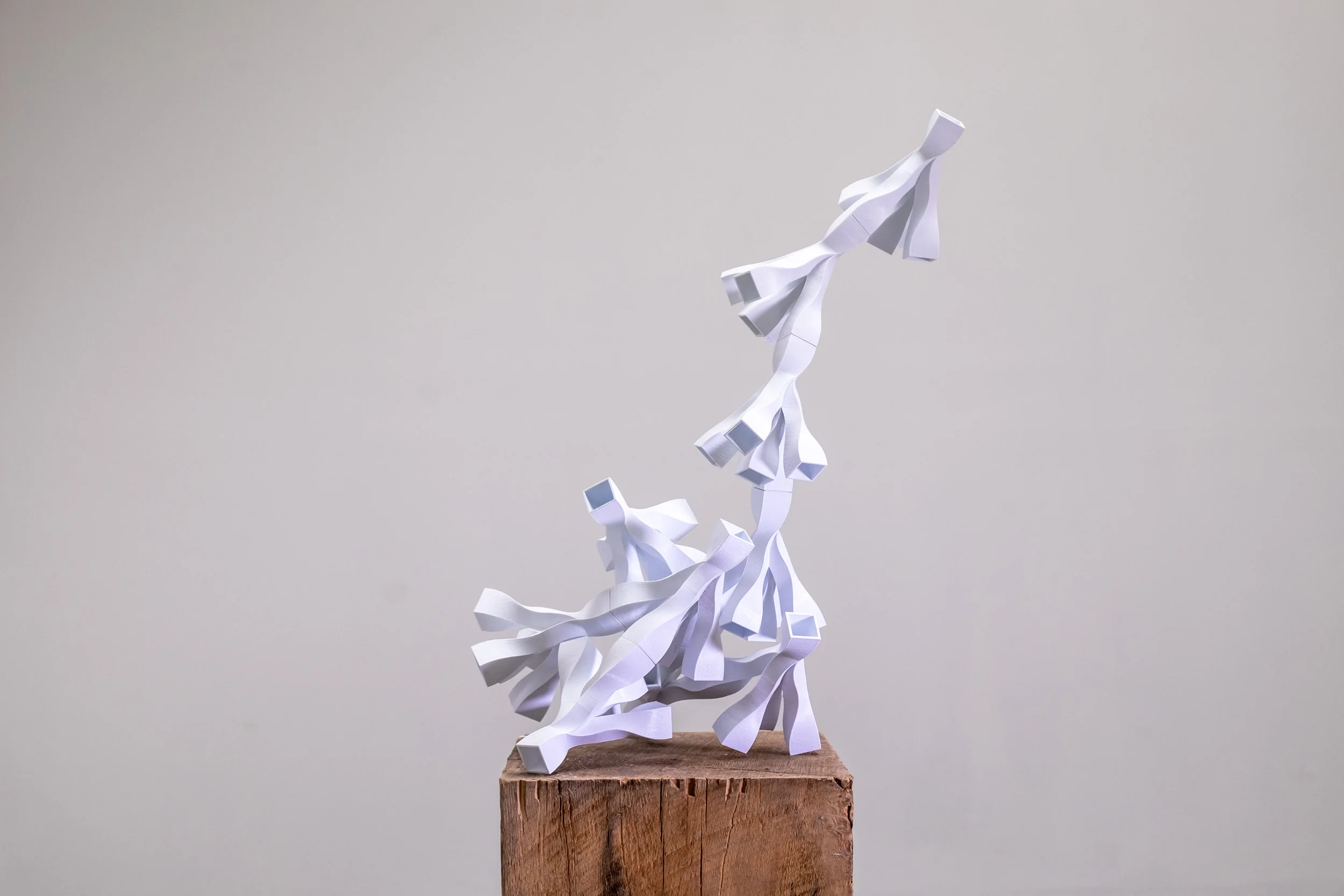 untitled (13 of 34).jpg