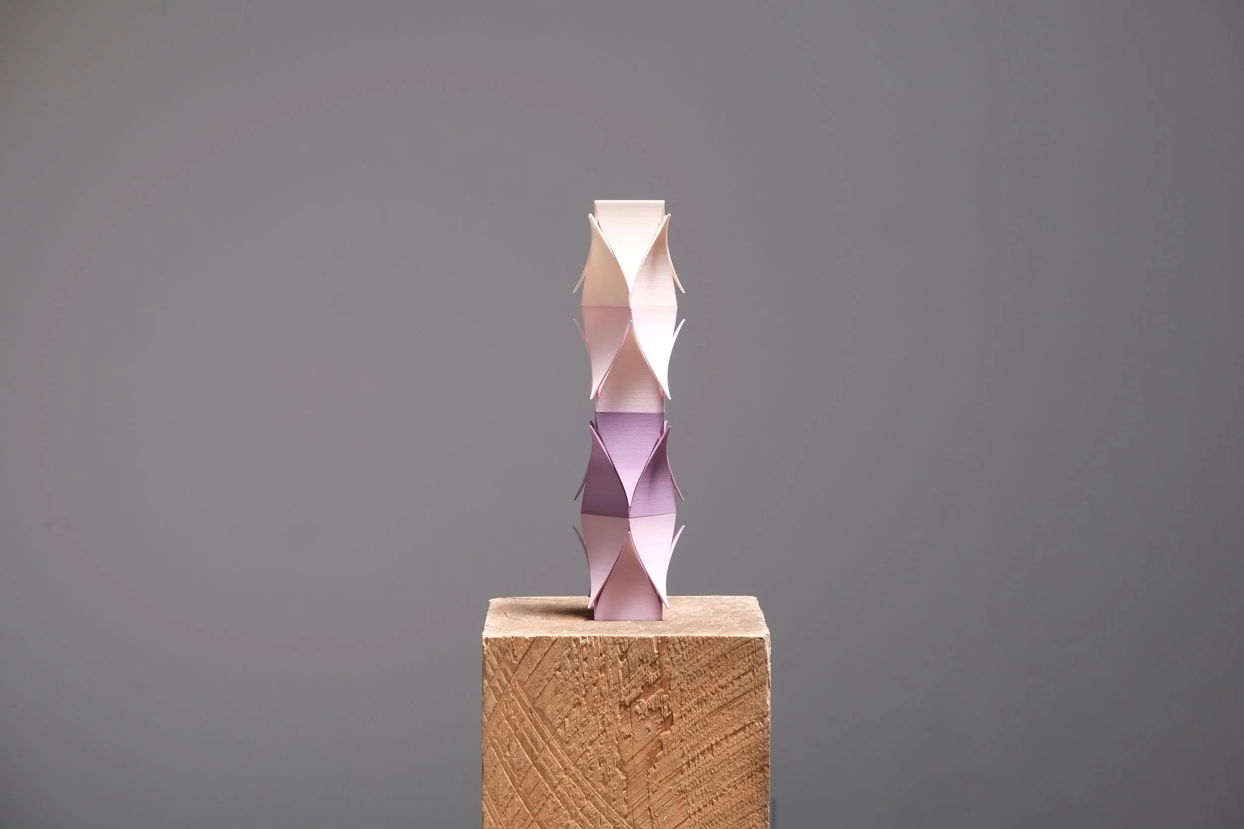 purple_crown (3).JPG