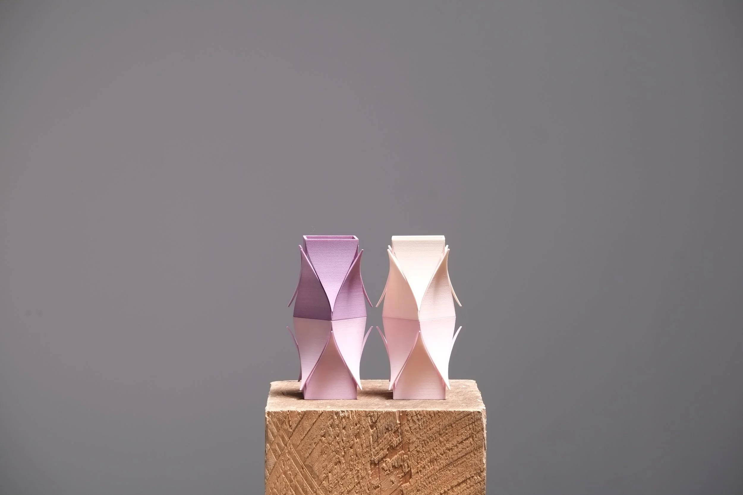 purple_crown (4).JPG