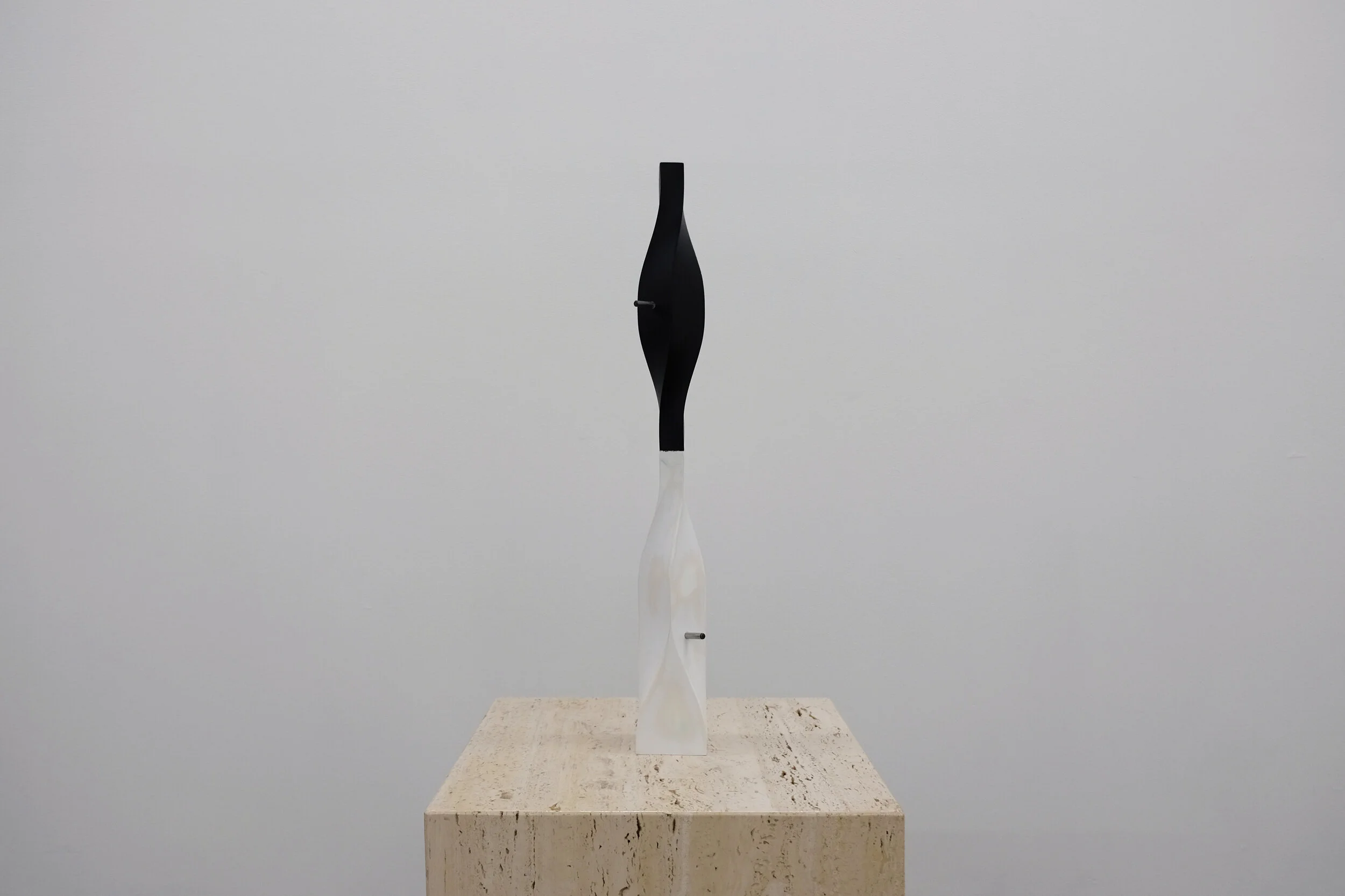 SELF PORTRAIT_BW_03.jpg