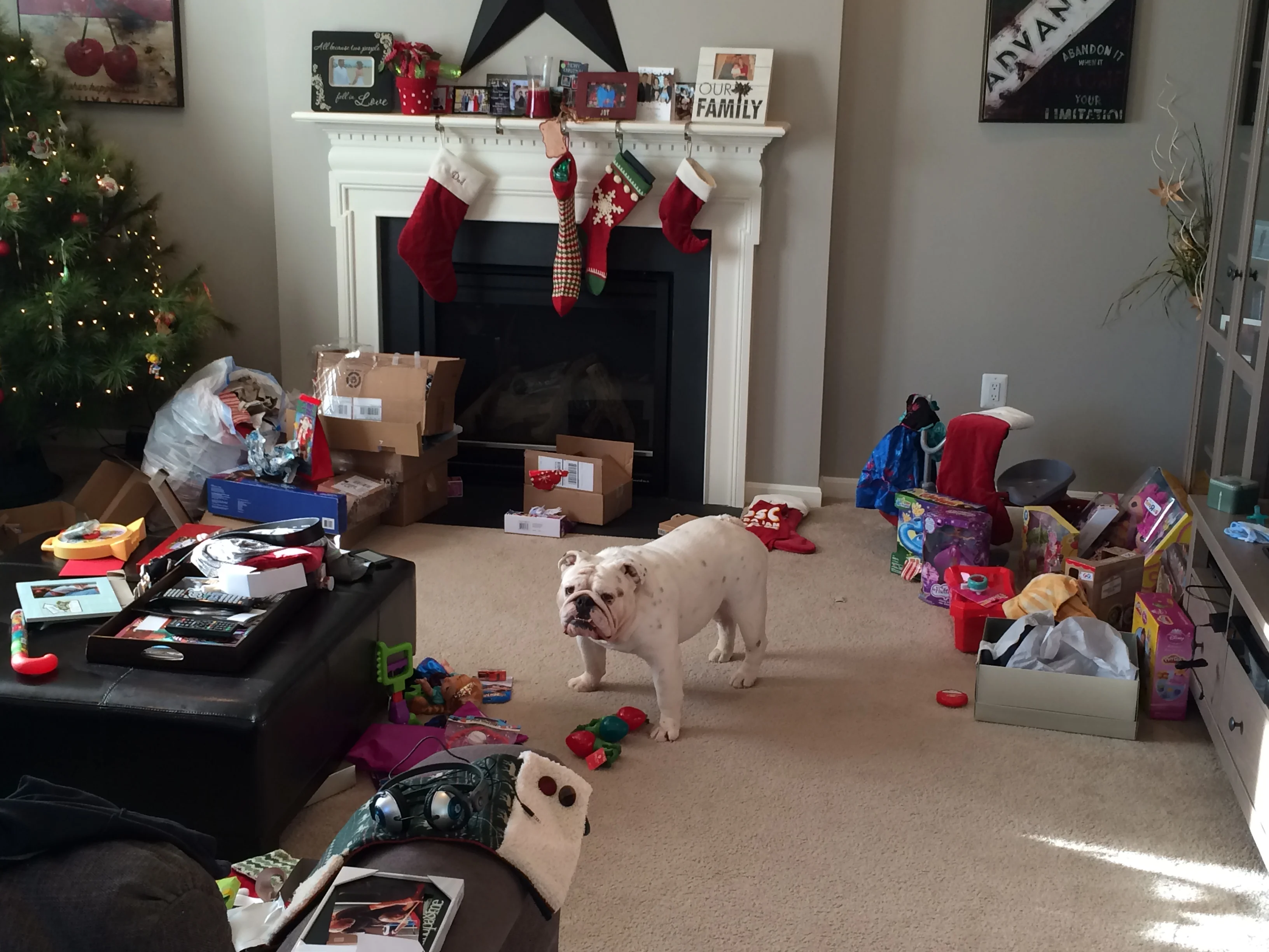 The Most WONDERFUL time of the year