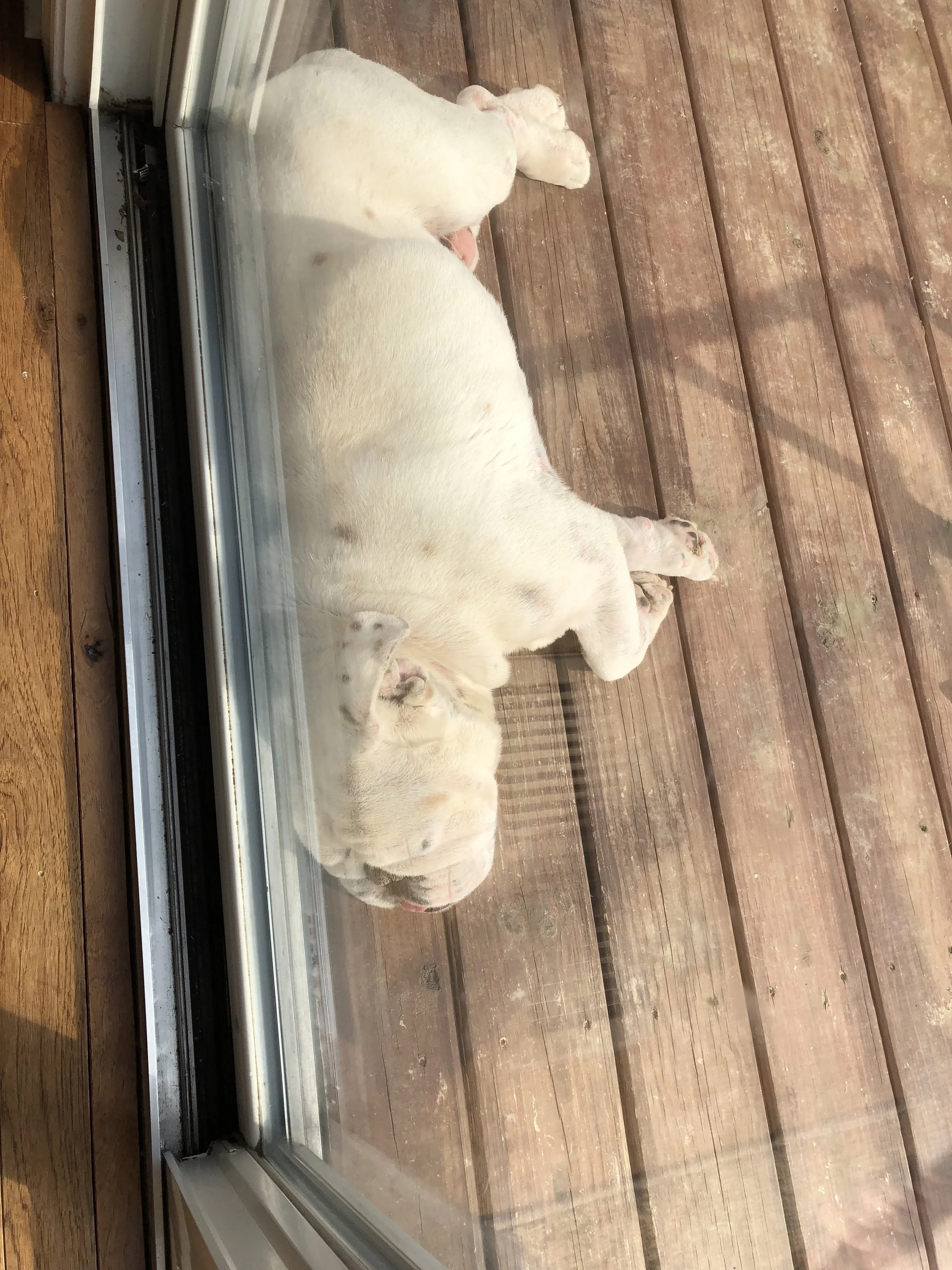 20190330_204918892_iOS.jpg