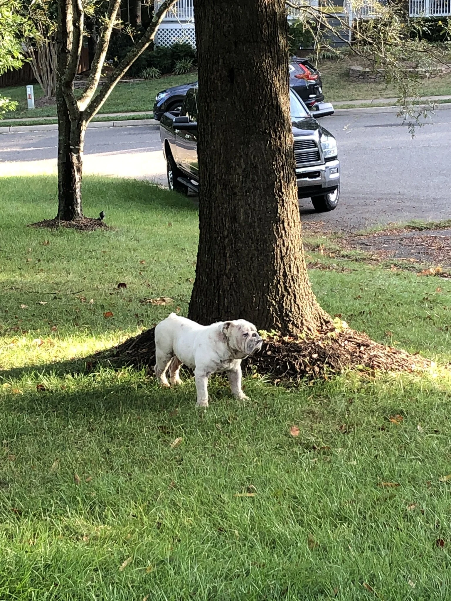 IMG_3468.JPEG