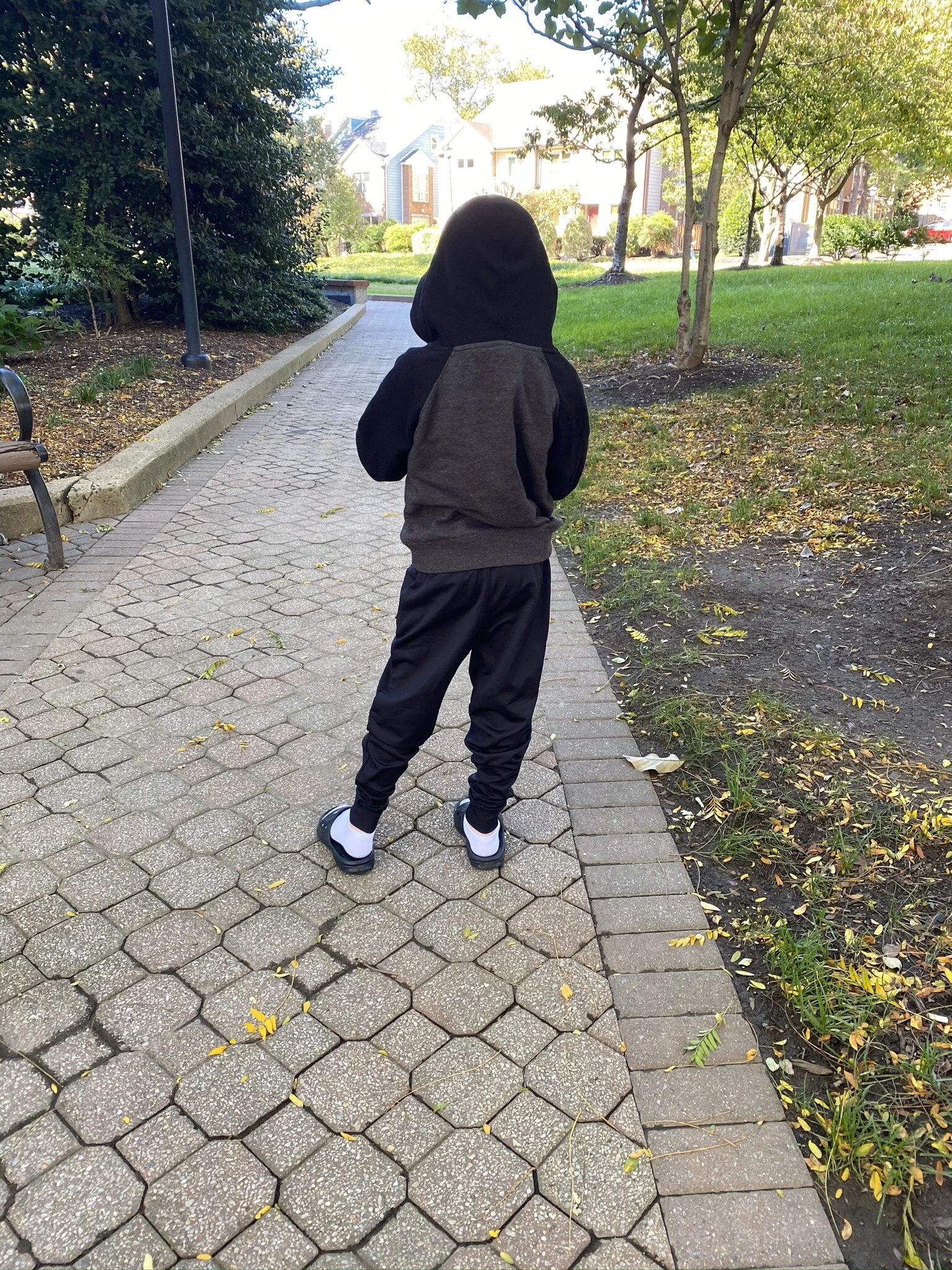IMG_2213.JPEG