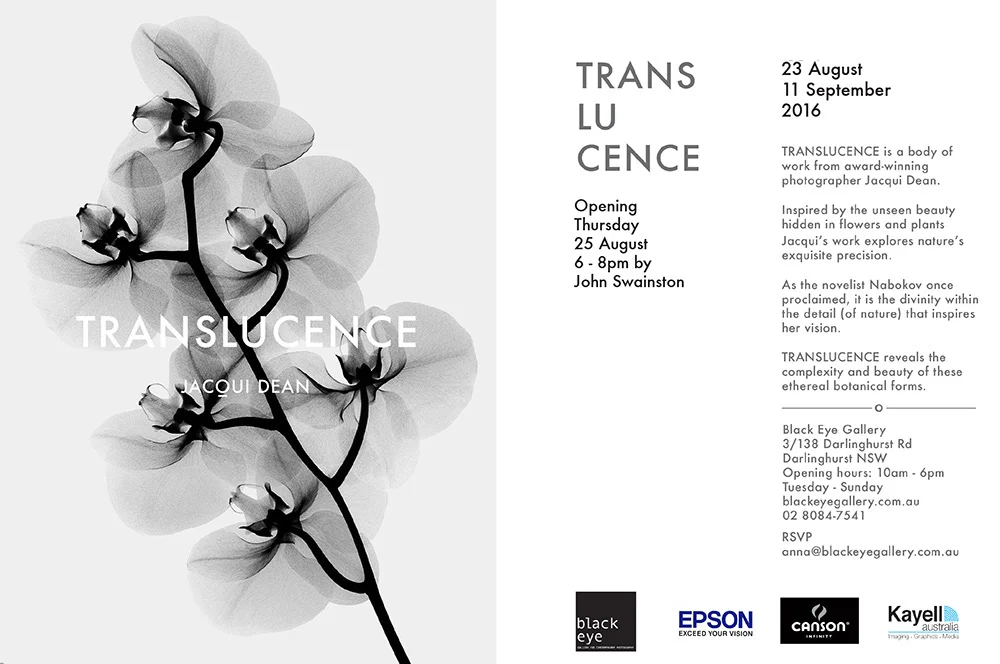 TRANSLUCENCE POSTCARD FINAL_3-1.jpg