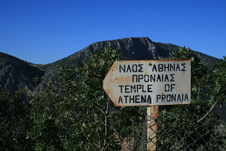 IMG_5155+copy.JPG