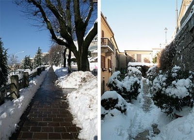 snowypaths.jpg