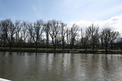 IMG_3459.JPG