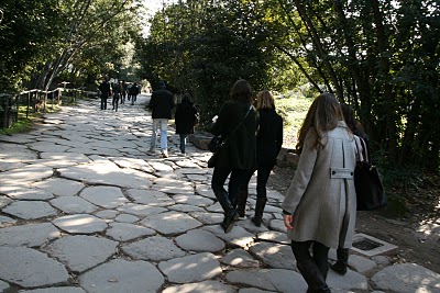IMG_8419.JPG