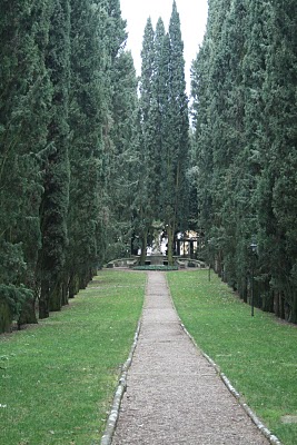 IMG_9023.JPG