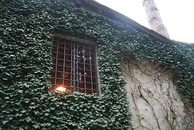 IMG_9026.JPG