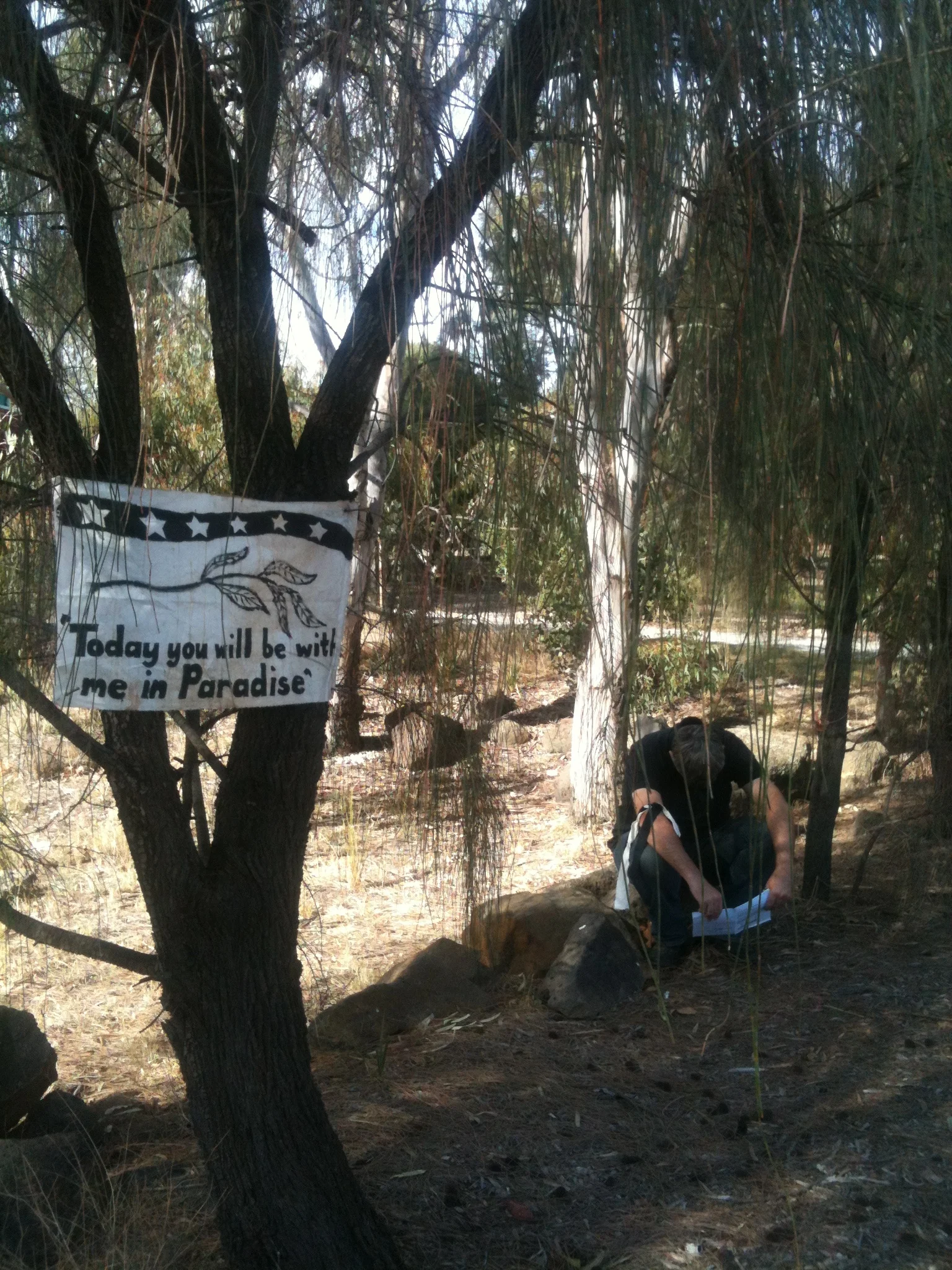 7 sites - Paradise.JPG