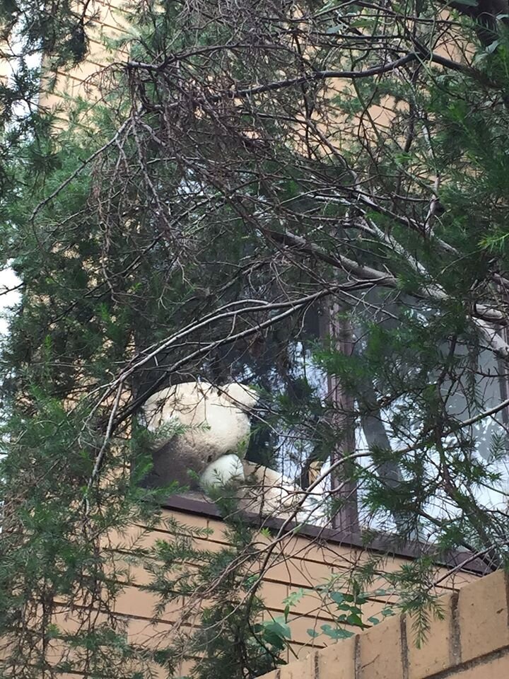 IHH closed due to COVID-19