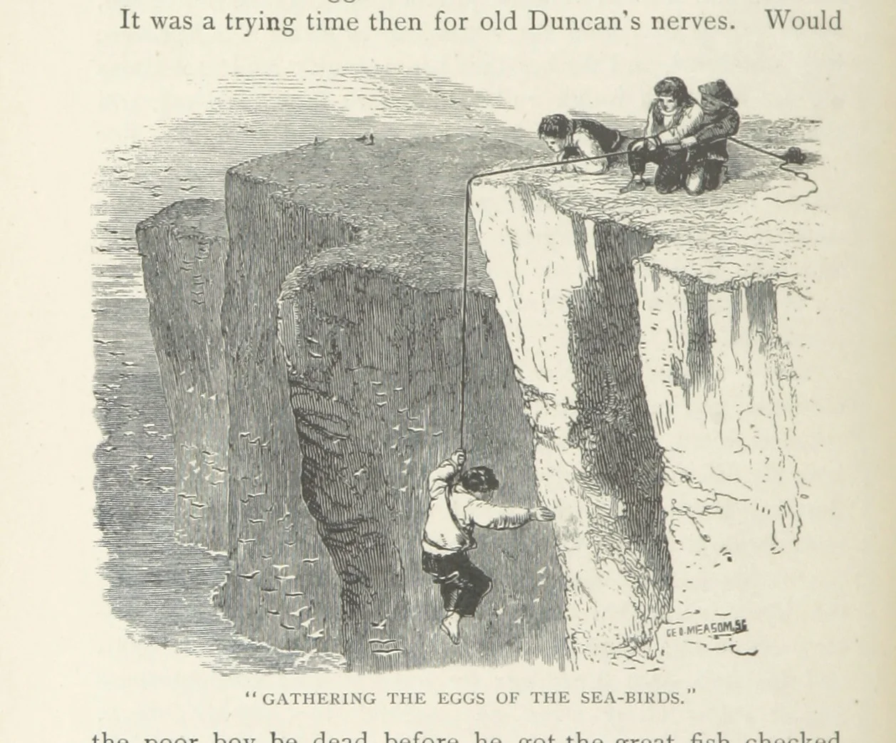 gathering sea birds eggs.jpg