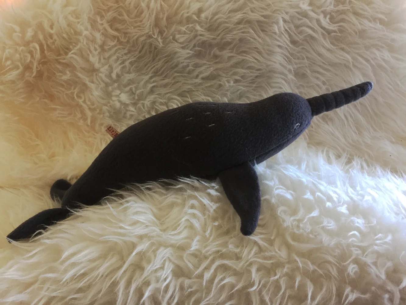 narwhal6.jpg