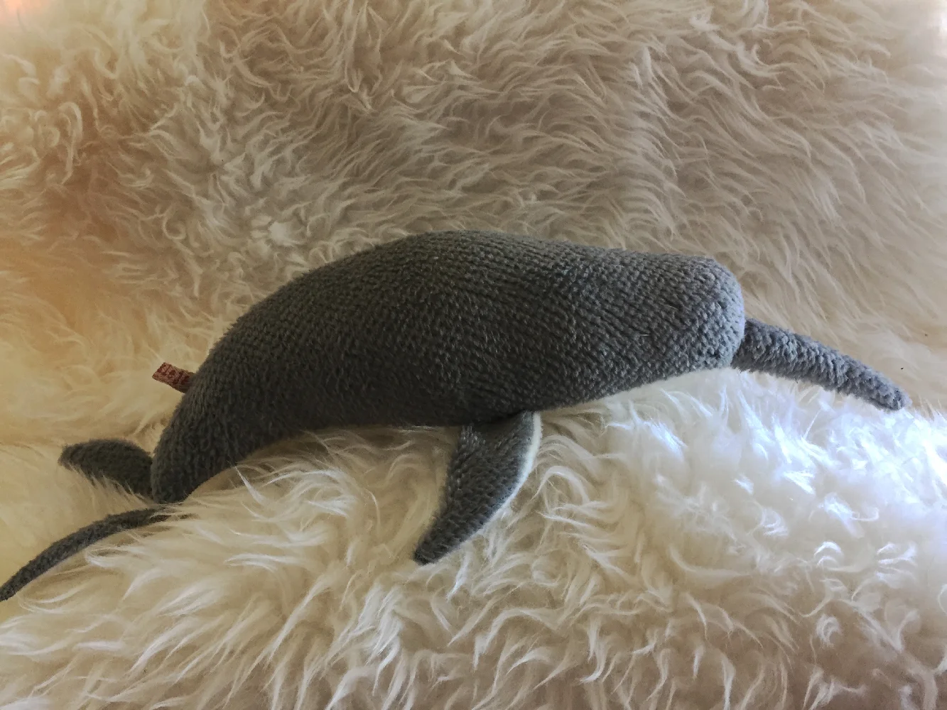 narwhal5.jpg