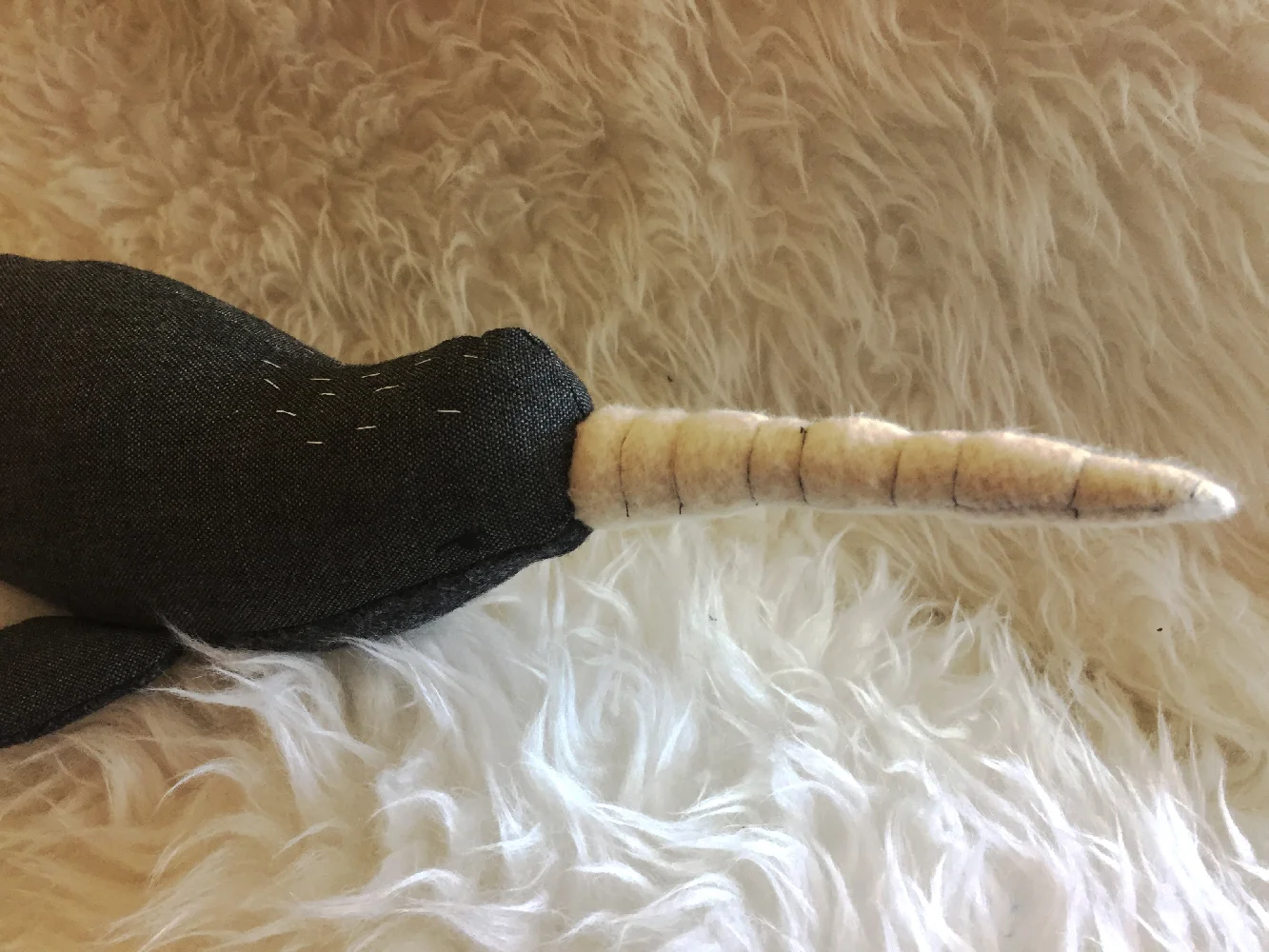 narwhal3.jpg