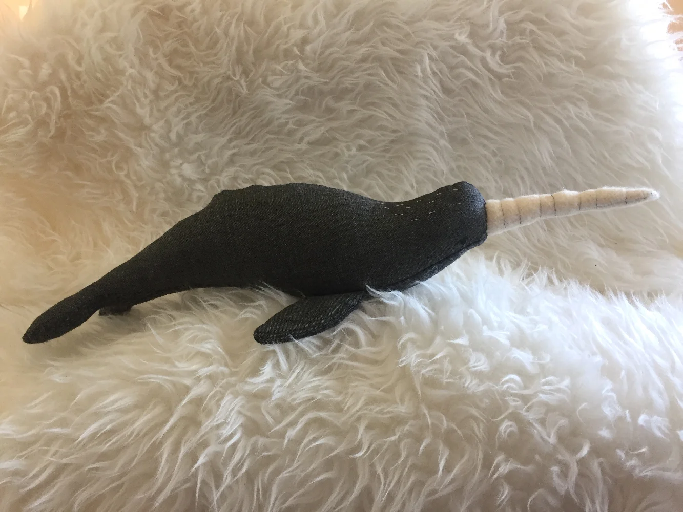 narwhal2.jpg