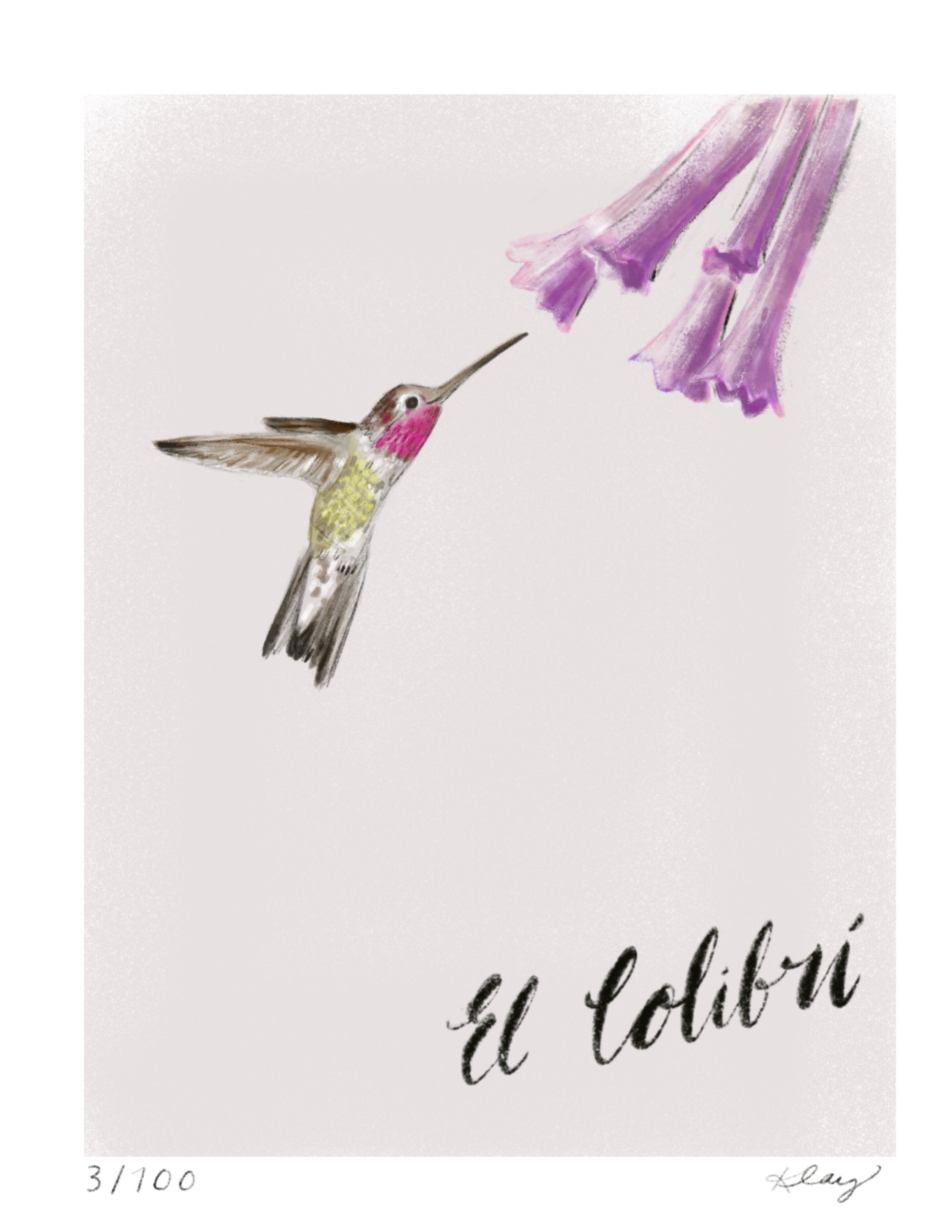 El Colibri 3/100