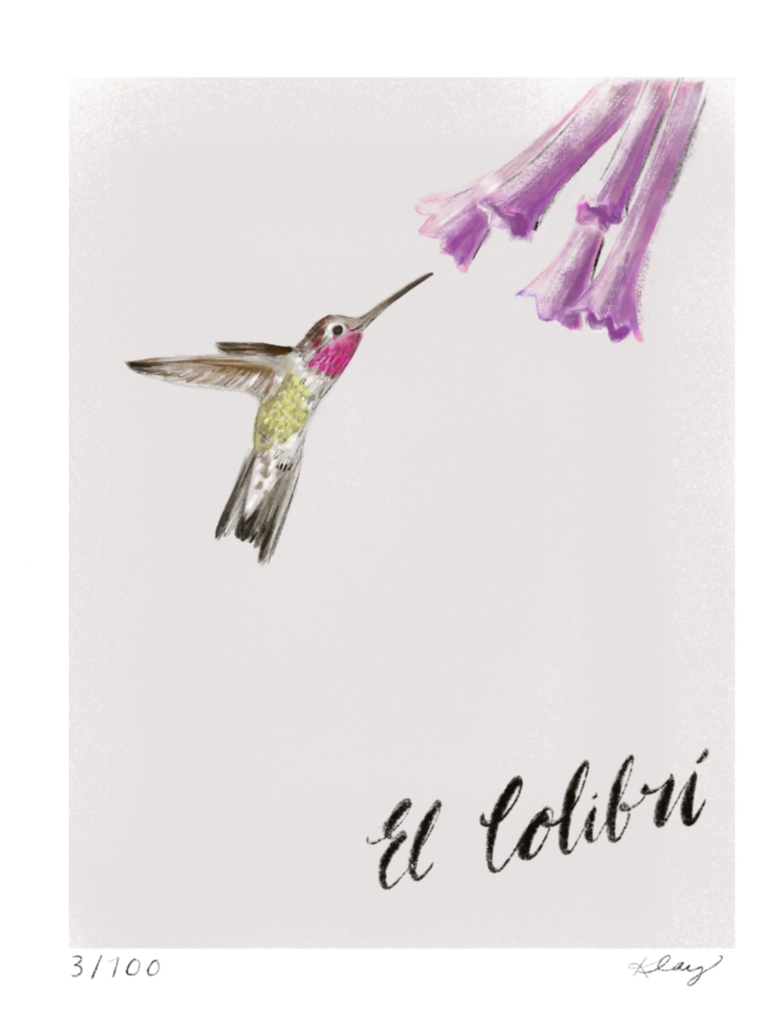 El Colibri 3/100