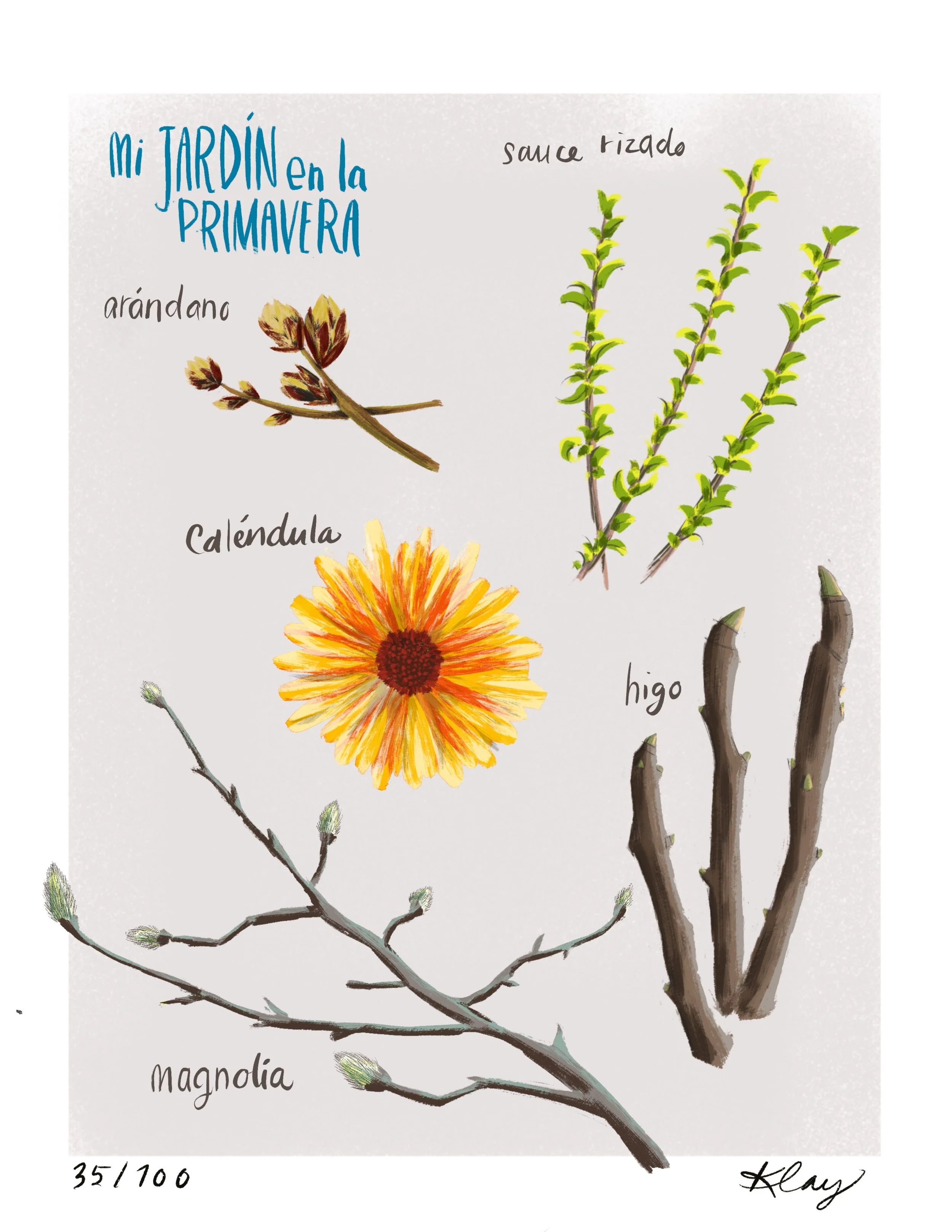 Jardín_35100.jpg
