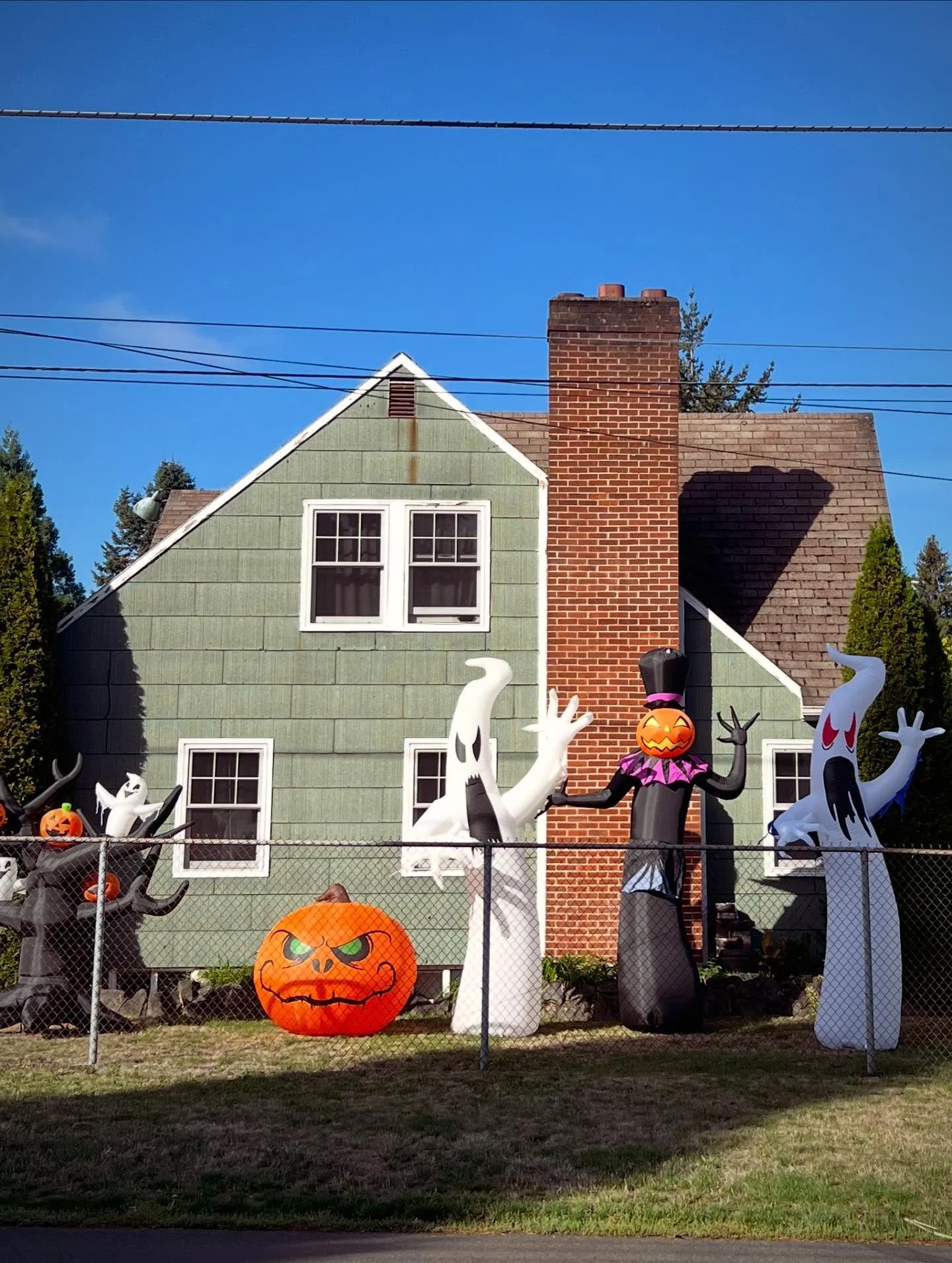 On our walk this morning, sunshine and spirits both on display. #cullypdx