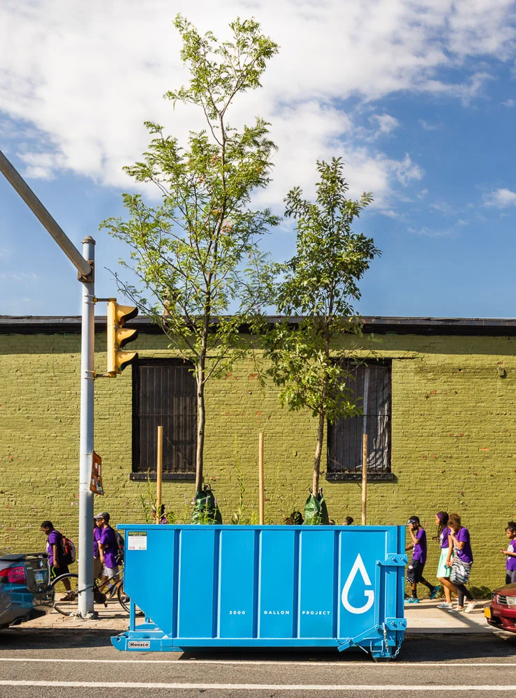 2000 Gallon Project by Alloy and Gowanus Canal Conservancy near Green wall