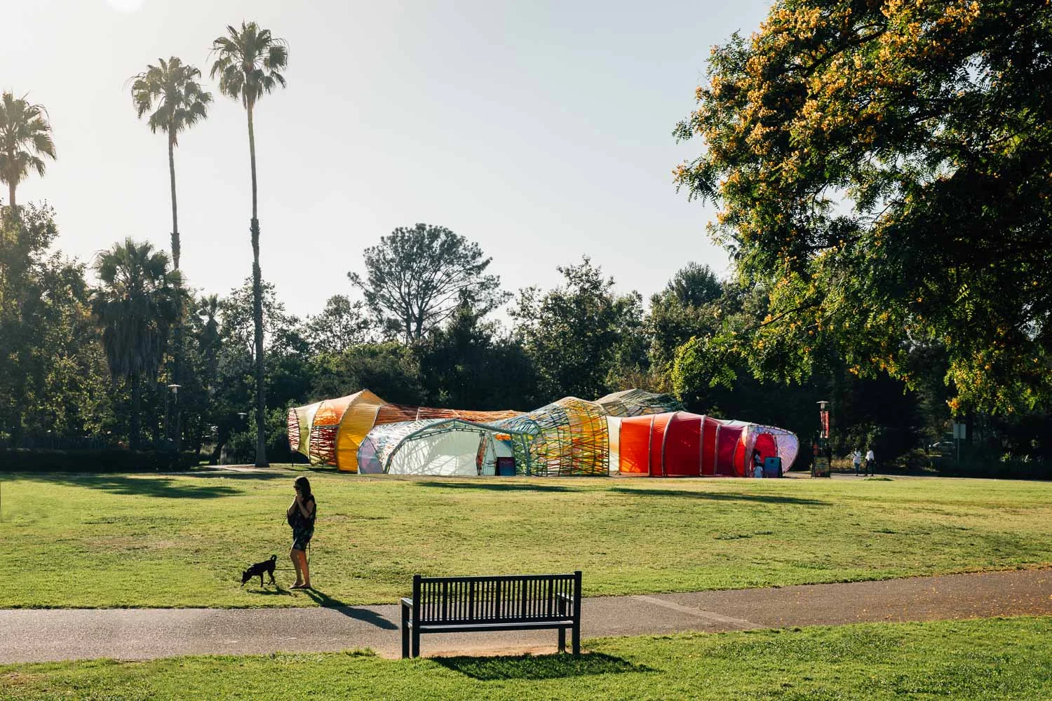 SelgasCano's Serpentine Pavilion