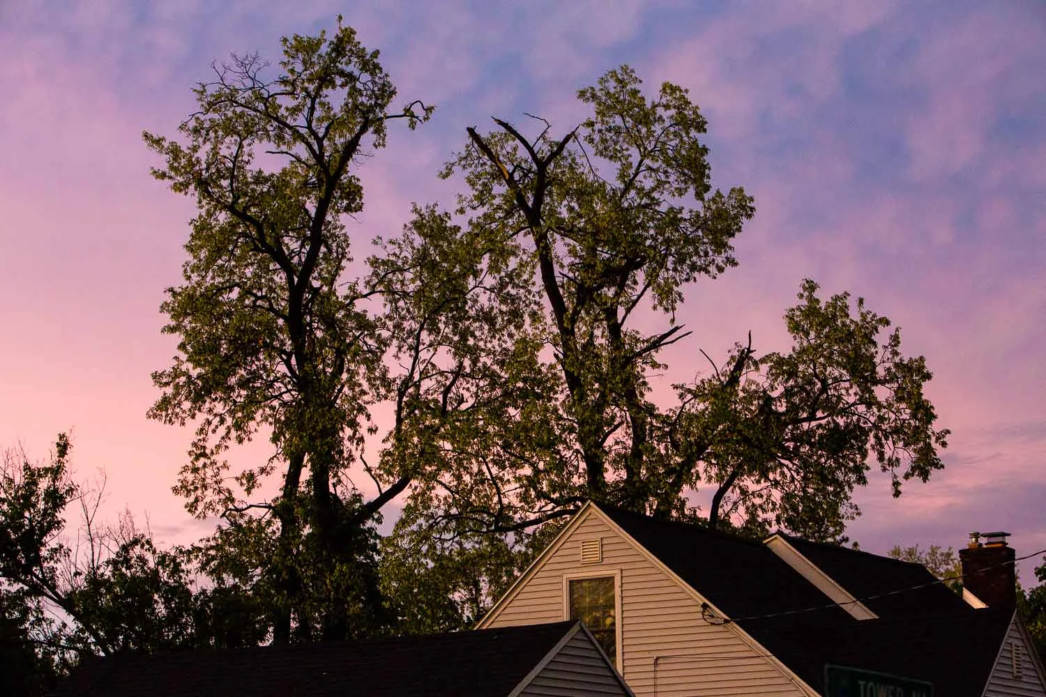 This tree took a direct lightning strike and lost some branches at the top. None hit that house, though, which was lucky.