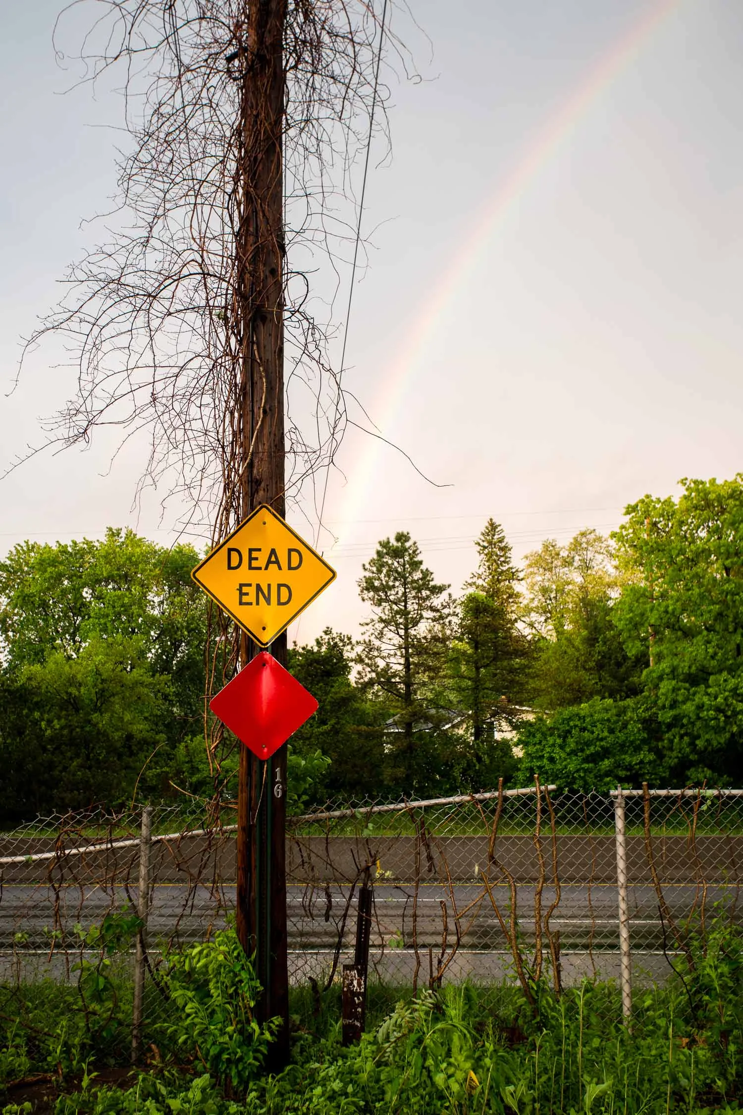 This rainbow decided to make a political statement about life in the suburbs.