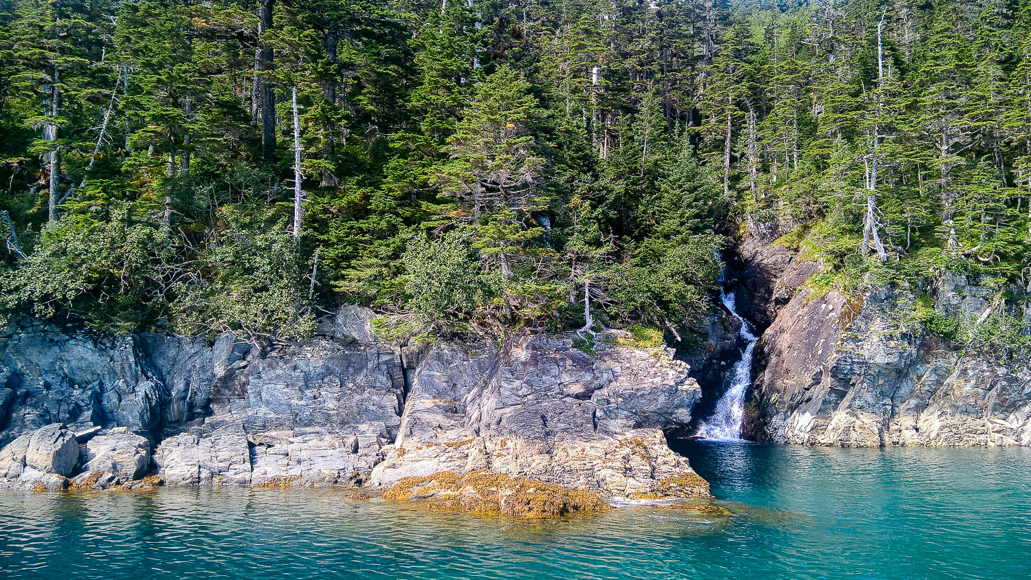For the first couple minutes of the cruise, it was a lot of trees and small waterfalls. Really serene. (Shot with the Nokia Lumia 640 XL)