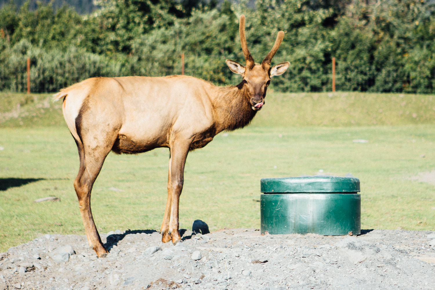 Look at this jerk. (DSLR)
