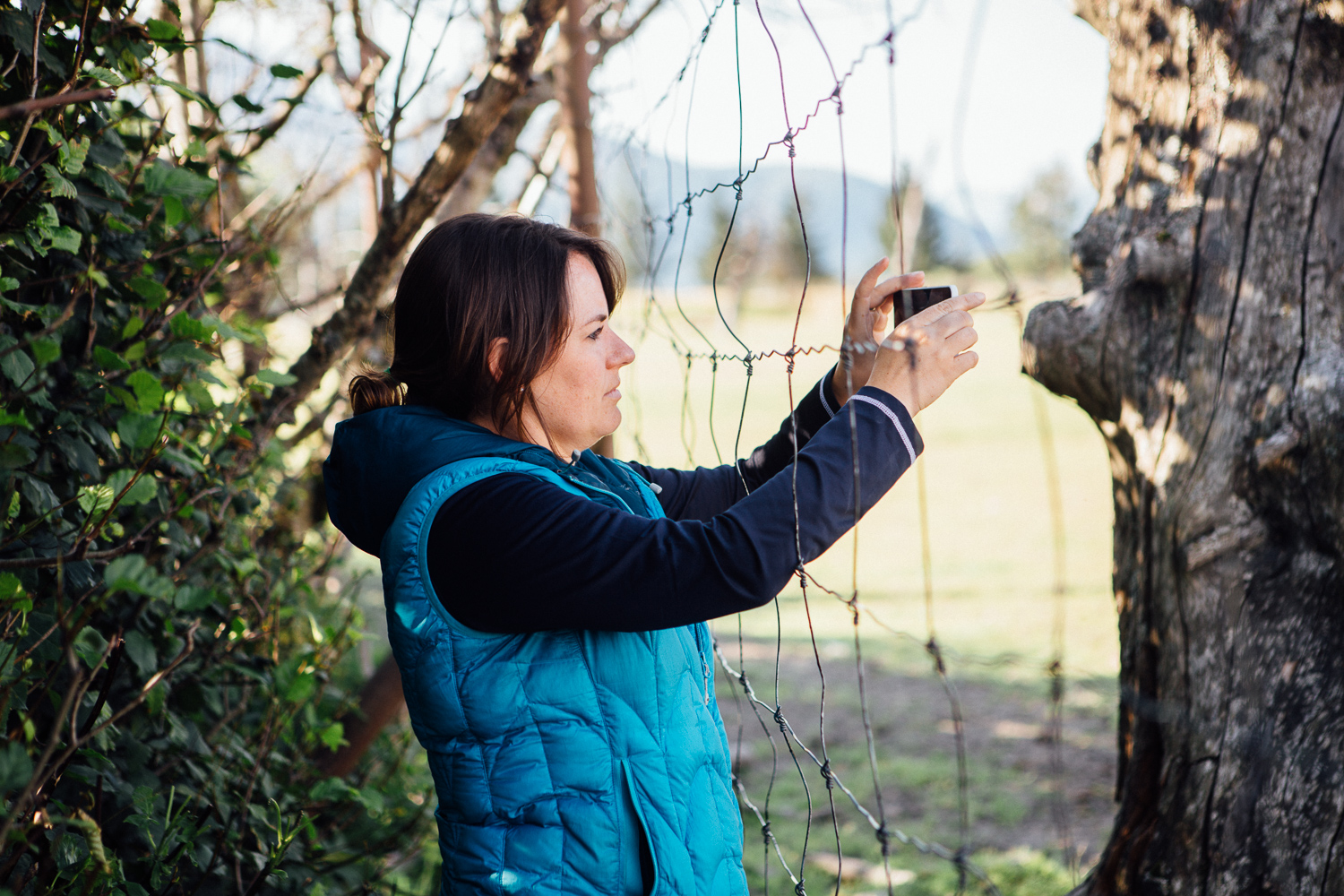 People from Alaska are cool with putting their arms into a cage with animals that might eat them. (DSLR)
