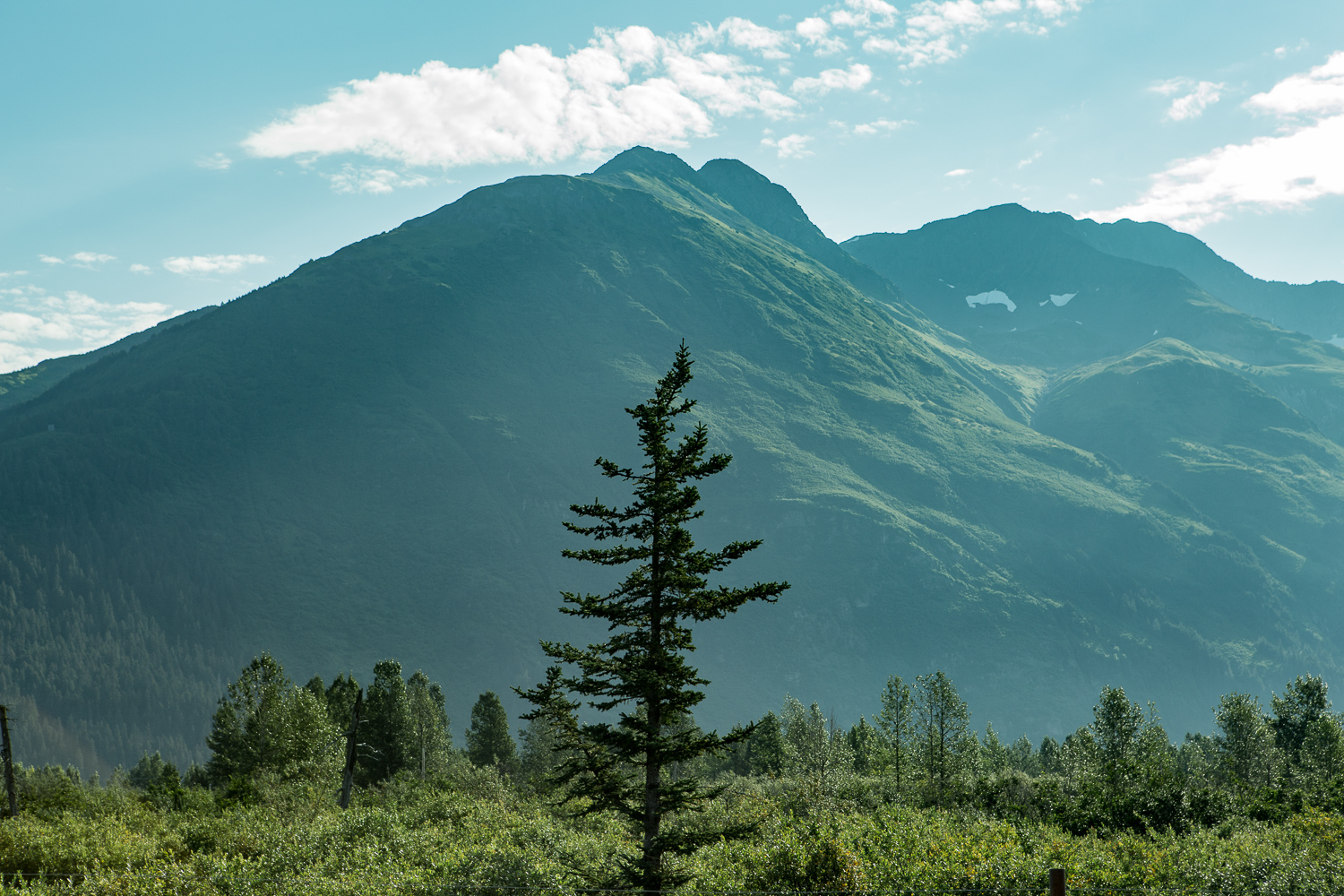 Ultimately, this whole trip was an amazing experience. I got to meet cool new people, take some pictures out of my usual comfort zone, and hey, I even got some work done. Sincere thanks to Microsoft for hosting me and the state of Alaska for reminding me that the world is a pretty phenomenal place. I'd also like to thank the bears for not eating me.