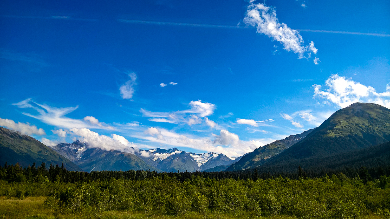 Seriously, I took this out a bus window. (Shot with the Nokia Lumia 640 XL)