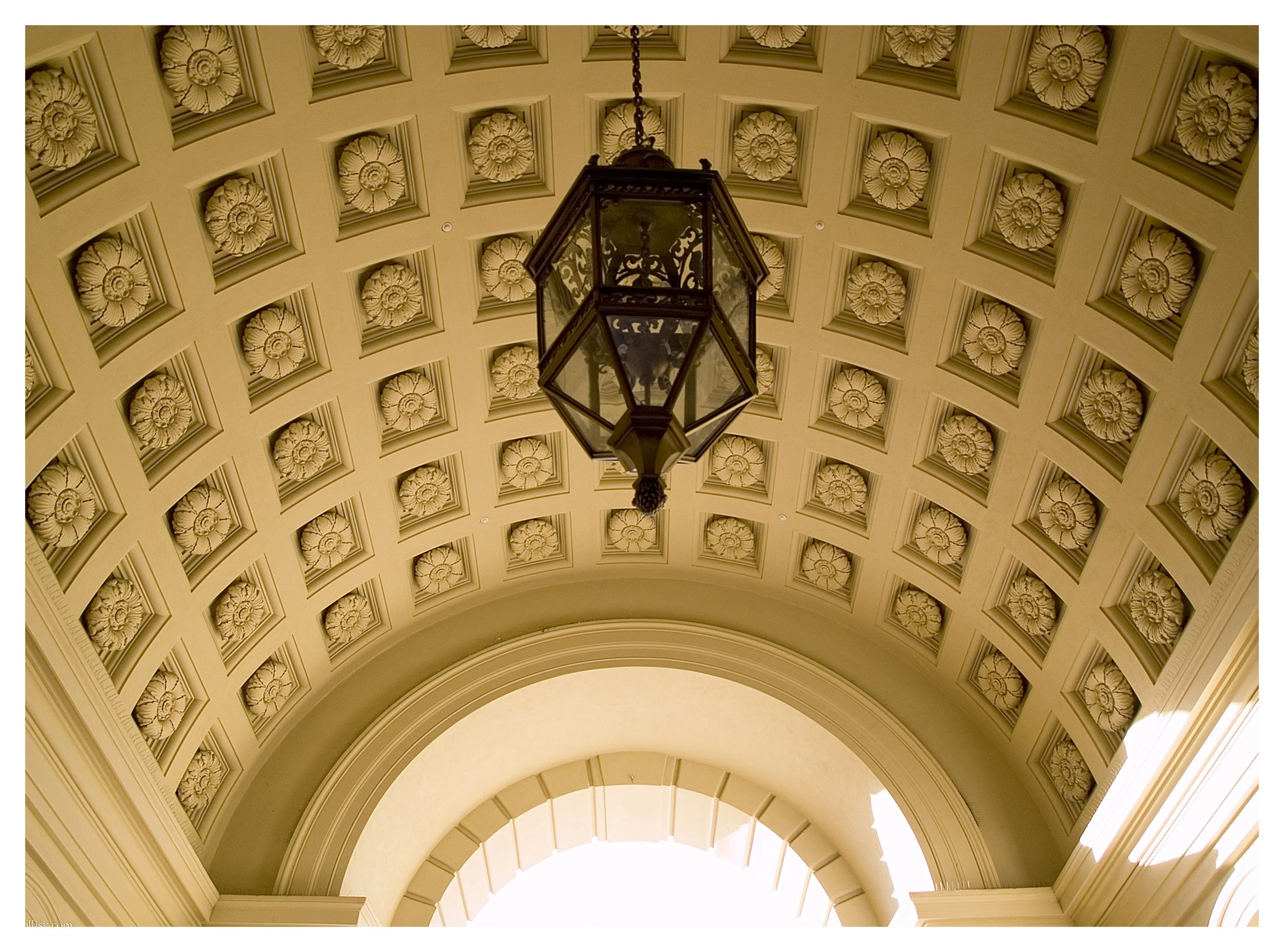 CITY HALL COLONOSCOPY