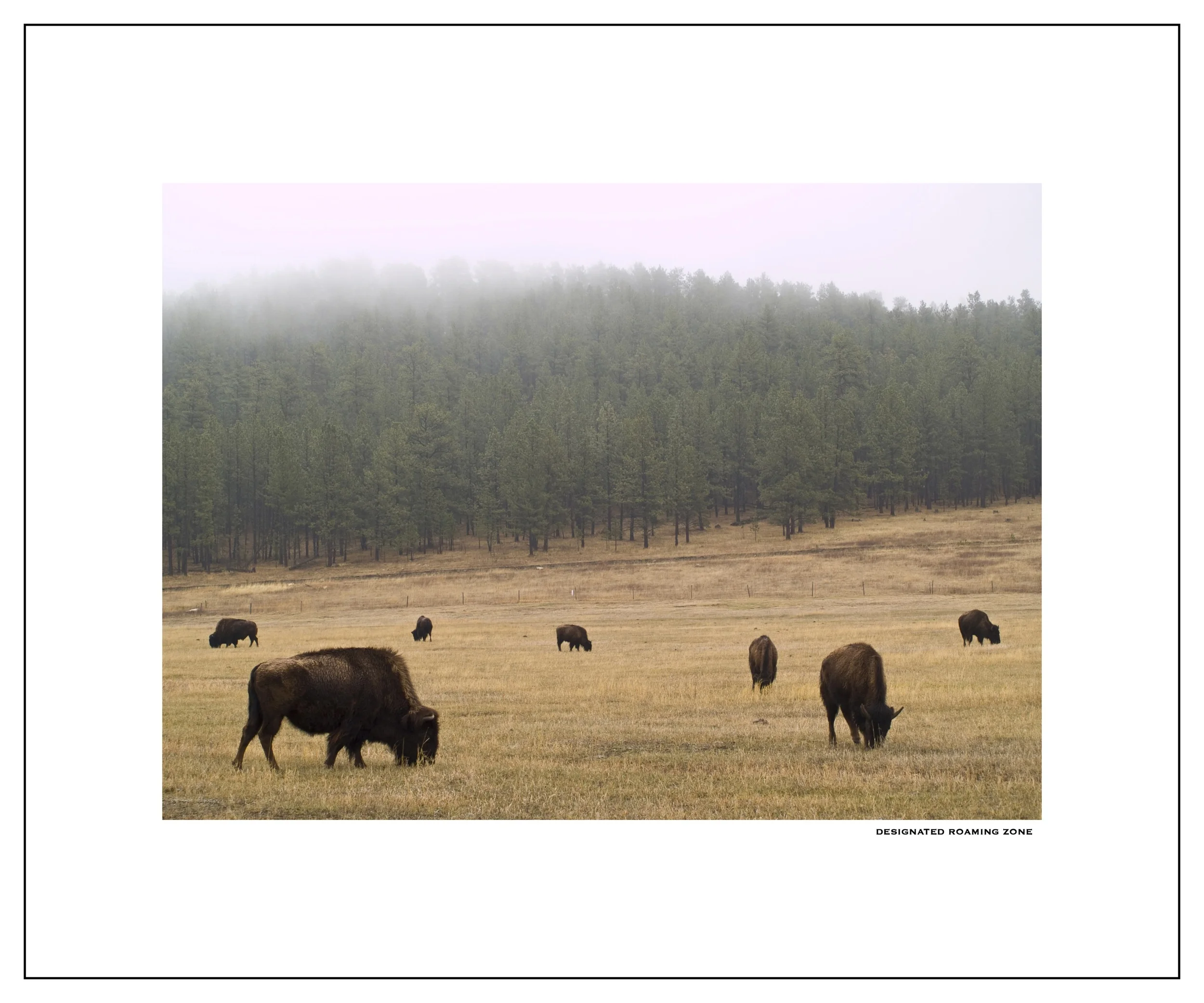 DESIGNATED ROAMING ZONE